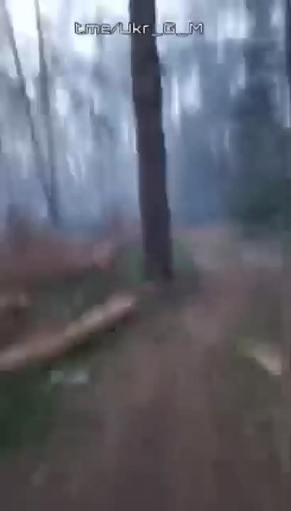 �������� �����: ���������� ������ ������� �� ����������� ����������� ��������� ���. ������� ���� ���� ��������, �������� 300, ����� ������� �����