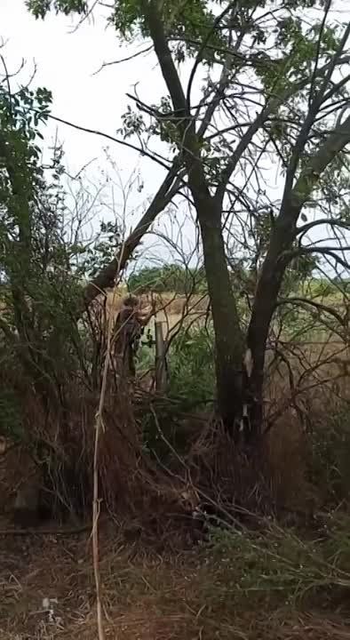 �������� ������ �������� ���������- �� ������