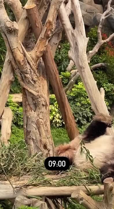 ���� ����� �� �� ������, ��� �������� � ��� ������ �����������..