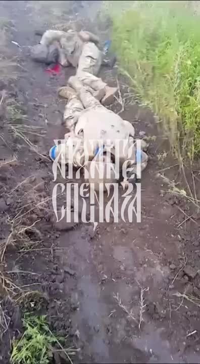 ��������� ��������� ����� �� ��� � ������ �.� �������� �� ����������� �����������