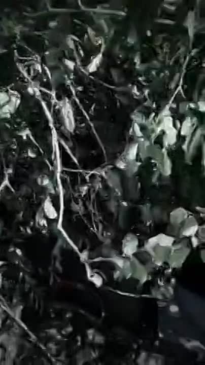 ���� ������� ������� �����,�� ������ � ������������ �����������