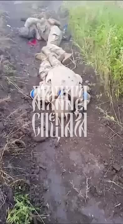 �� ����������� ����������� �������� ����������� �� ������� ���������� �����