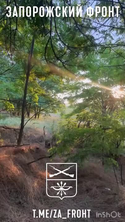 �������� ����� �� ��������������� ������� "������" � ������ ������ �� ����������� �����������