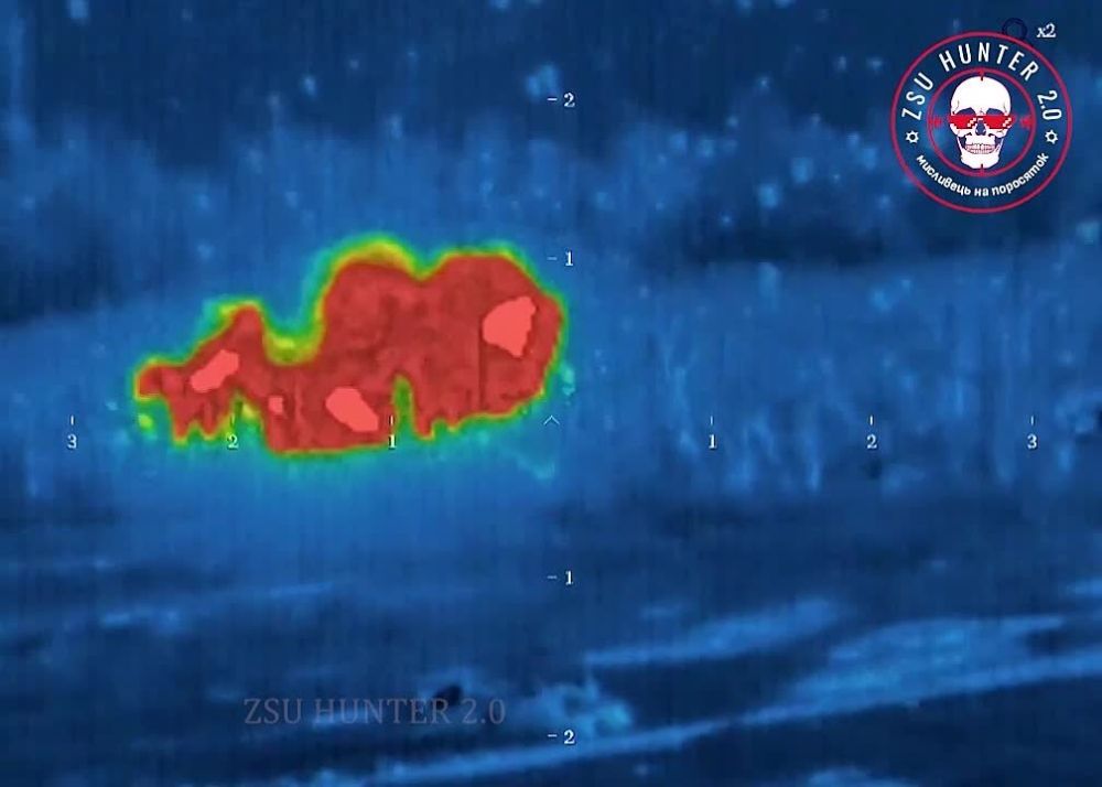 Евгений Лисицын: На Запорожском фронте российские подразделения продолжают уничтожение личного состава украинских боевиков