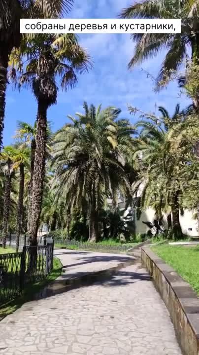 ������ ������: ������� ������� � ����� �� ��������� � ����