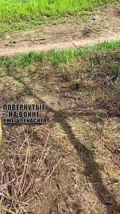 ���������� ������ ���������� ������������� �� ���� �������� ����������