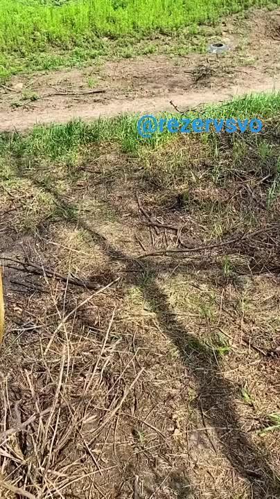 ��� �� ����� �� ��������
