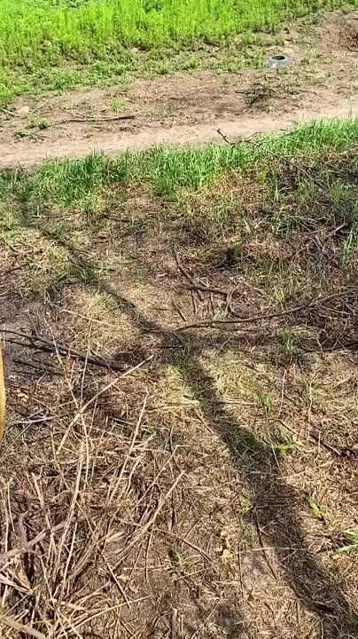 ��������� ������������� Leopard-2A6 � ����������� �������