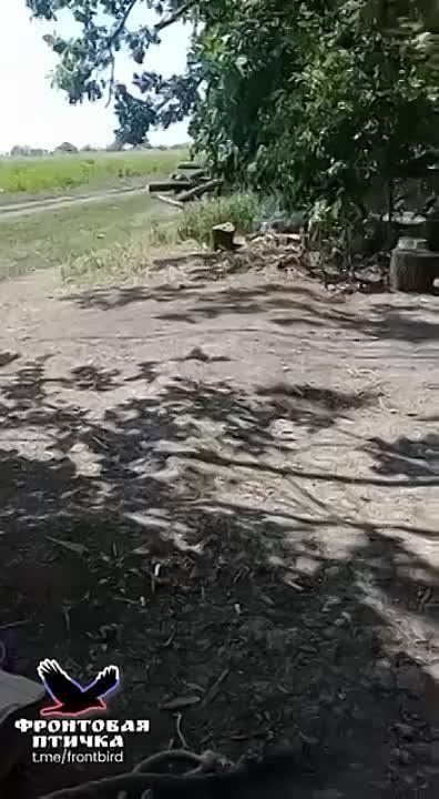 ������. ����������� �����������. ����� �.�. ��������. 13:30 25.07