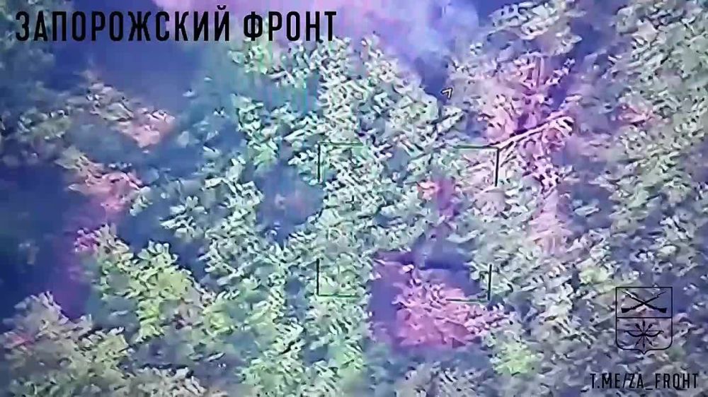 ����� �����: 292 ��� 58 ����� ������� ��������� ��� ��� �� ����������� �����������