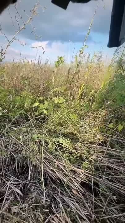 ���� �� �������� ����������� ���������������� �� ����������� ������ ��� ��������� ���������������� International MaxxPro � ��� M2A2 Bradley ODS-SA ������������� ������������