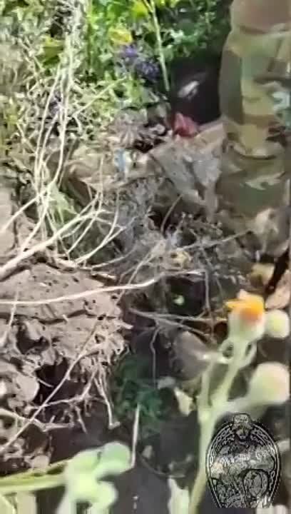 ���������� ������ ����� ������� � ���� ����� ������� �����