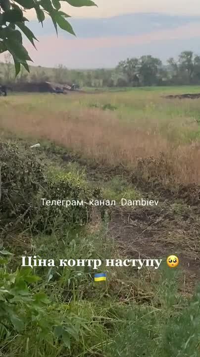 ������ �������: ������ ����������� ���������������� �� ����������� �����������