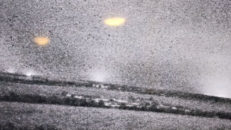 ������� �������: ����� ����� ��� �������� � ��������