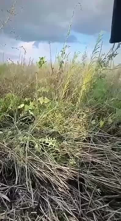 ����� ������� �����: �������� ����������� ������� ��� � �������� �� ����������� ������