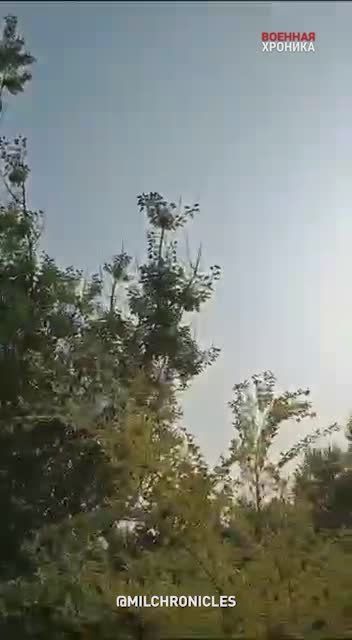 ������� �������� ������ �� �������: ������� �� ����� �� ����� ������� �������� 17 �������� �����
