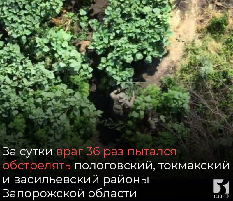 �� ��������� ����� ��������� �������� 36 ������� ���������� ���������� ������ ����������� ������� � �����������, ���������� � ������������ ������������