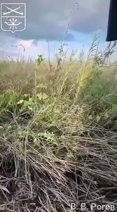 �������� �����: ����� ������� �����: ����������� ������� ��� � �������� �� ����������� ������