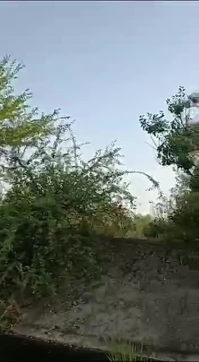 ����� ����� � ����������� �������� �������� �� 17 ����