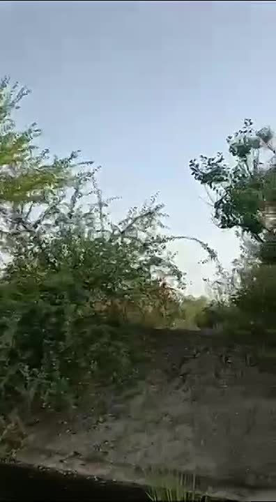 ��� ������ �-101 ��� ��������