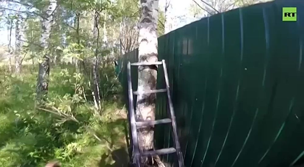 � ����������� ��� �������� ������ ����������� � ���������� ������� ����������������, ������� ����������� ������� ������ ������������� ����������