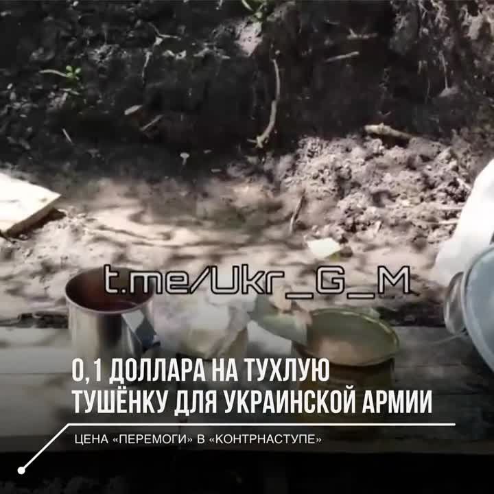 ��������� ��������� ��������� ������: � ����� �� ��������� �������-����� ������ ������������� ���� ����