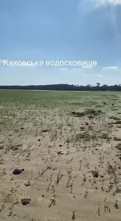 ��������� ������������� �������