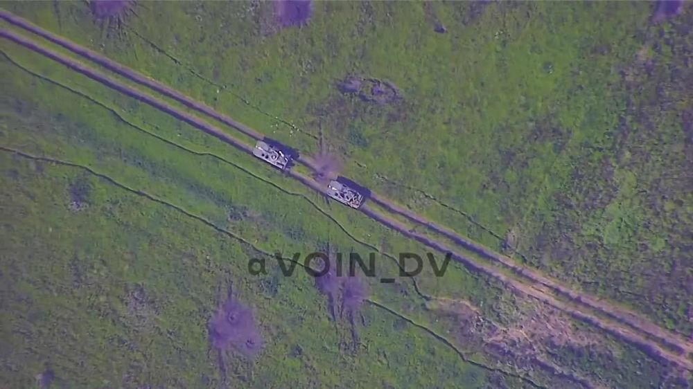 ����� �����: ��������� ��� ���������� ������������� ����������� "������"