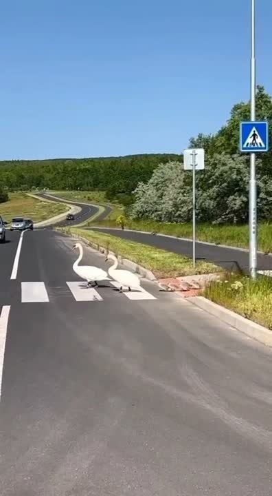 ���������������� ����������� ������� ����������, ��� ���������� ������� � ��� ����� ������ ������� ������, ��� ������������ �������� � ��������