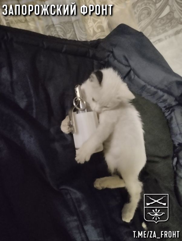 ���� ������� ���� � ������������ �����������