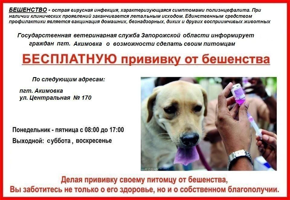 � ���������� ��������� �� ����� �����������, 170 ����� ������� �������� �������� �� ���������