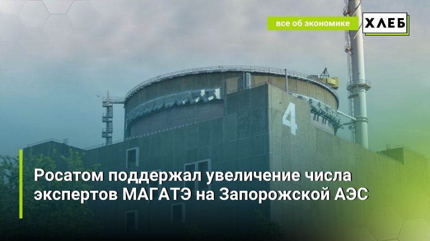 Росатом поддержал увеличение числа экспертов МАГАТЭ на Запорожской АЭС