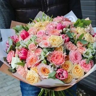 ������� ������ �� �������! 27����
