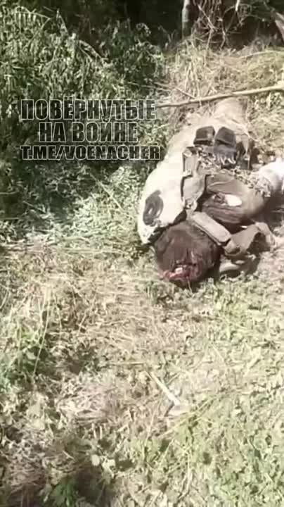 Евгений Лисицын: Вот так вчера ВСУ-шники в контрнаступ сходили у Работино на Запорожском фронте