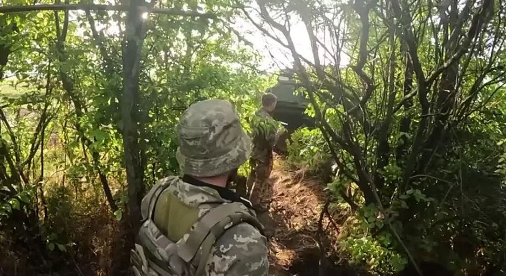 ���� ��������: ���� ����� �� BILD ��������, ��� �� ����������� ����������� �������� �Bergepanzer 2� ��� ������� ���������� ��������������� �������