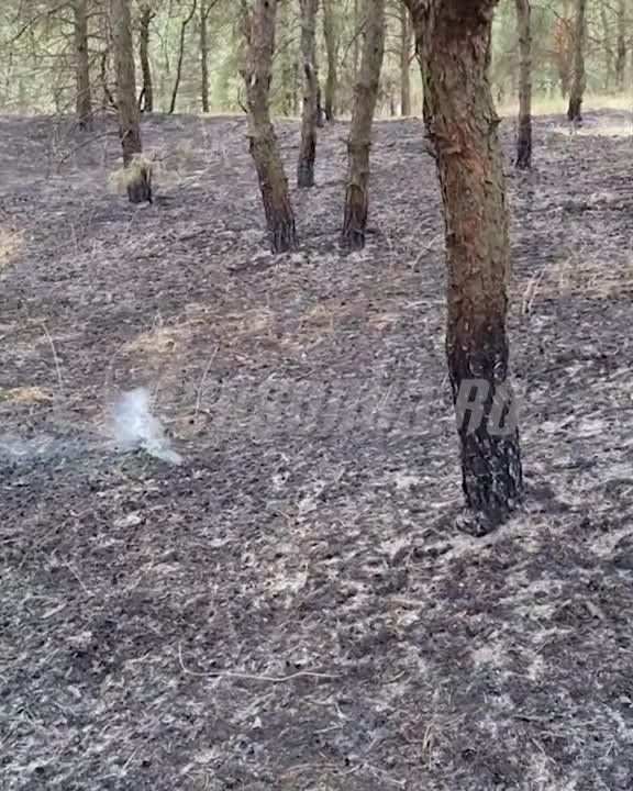 � ����� ������� ����� ���� ��-�� ������ ��� � �������� ������������ ����������� � ������������