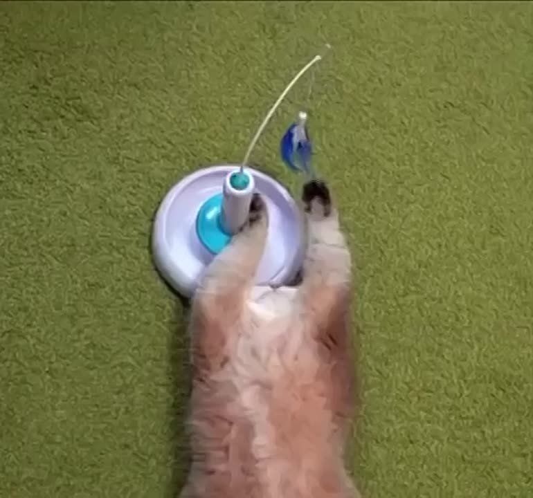 ���� ��� ������������ ���� ��������� � ����� ��������� ������� ������!