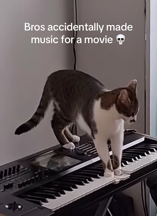 ������ �����: ���������������� ���������� �� ������� ��� ����������� � ������ ������