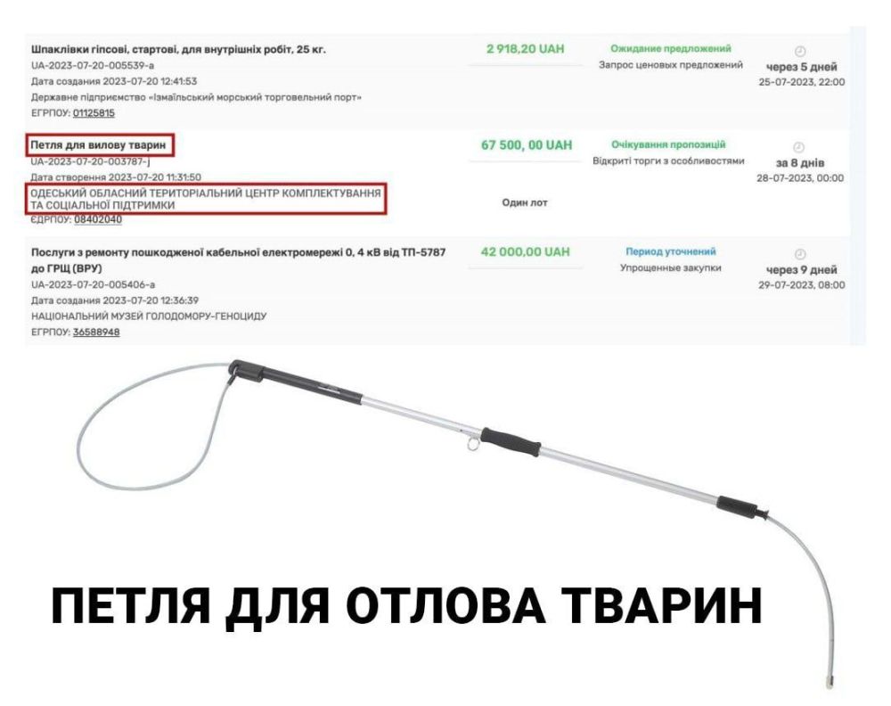 �������� �������� ����������� ����� ��� ������ ����� ����� � ��������������