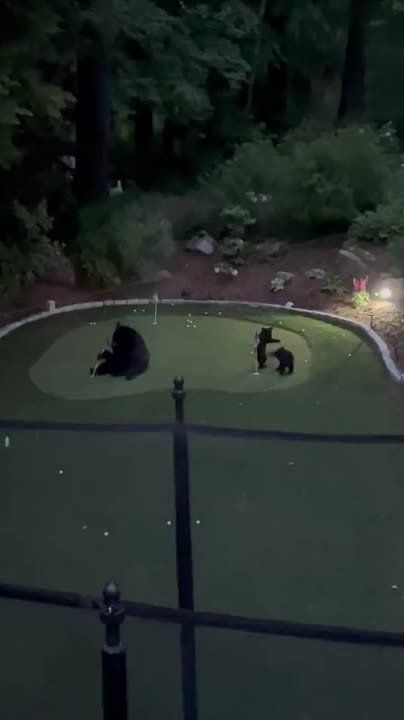 ������ ���������� ������ ����� �������� �������� ������ � �����