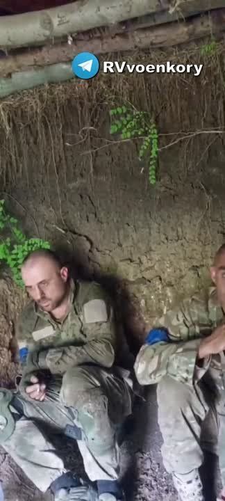 Евгений Лисицын: Очередные ВСУ-шники сдались целым подразделением