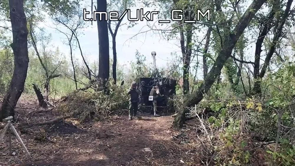 ������������ 72 ����� �� �� ����������� �������� �� ��������� ����� ���� � ������� ������������ � ������ ���-����, �� ����� �� ������ �� �����