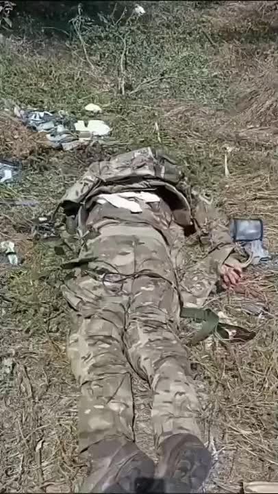 ������ �������: ������ ����������� ����������������