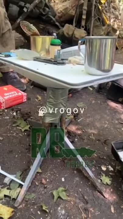 Владимир Рогов: "Как тебе такое, Илон Маск?"