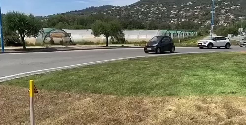�������� ��������: �������� �� ���� ������ ������ ������� � ������ ����