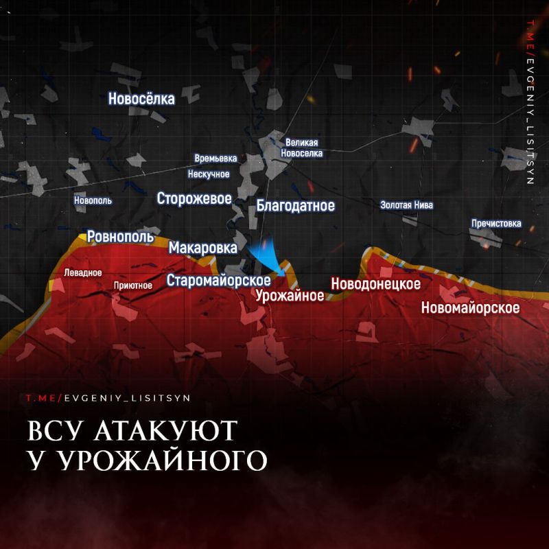 Евгений Лисицын: Фронтовая сводка по состоянию на утро 30 июля