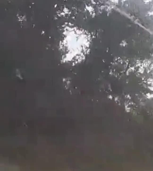 ������ �������: ������ ����������� ���������������� �� ����������� �����������