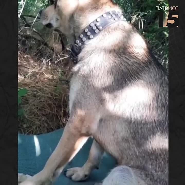 � ����� ����������� 292 ��������������� ����� �������� ����� �������� ���� � �������� � ��� �� ������ ����