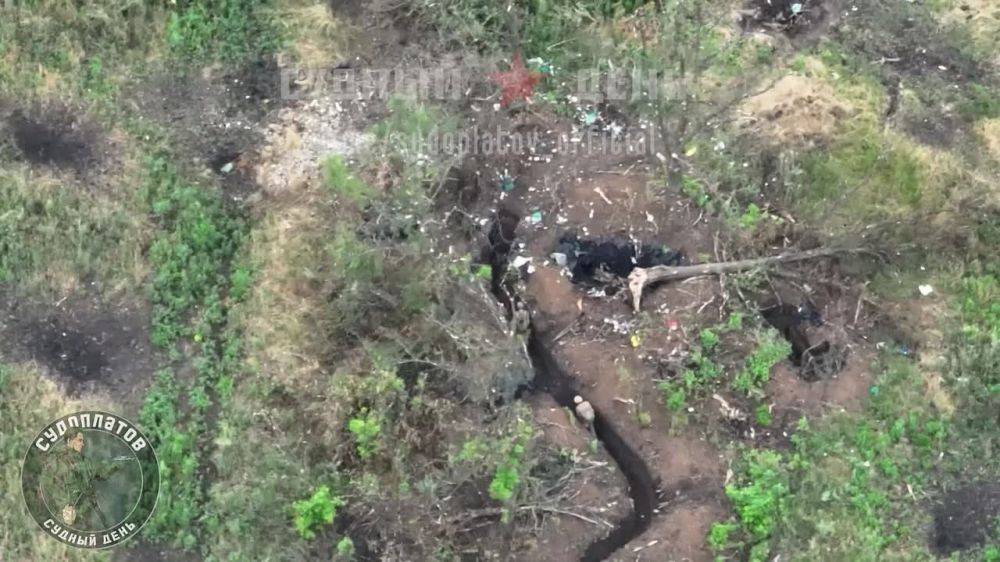 ����� ����� ������ FPV ��������