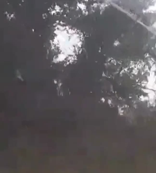 Евгений Лисицын: Кадры контрнаступа глазами врага